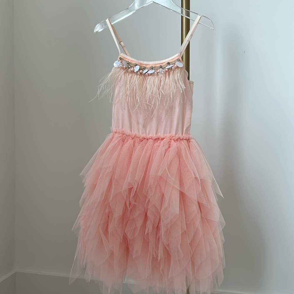 Toddler pink/peach tulle spaghetti strap dress with feathers and beading